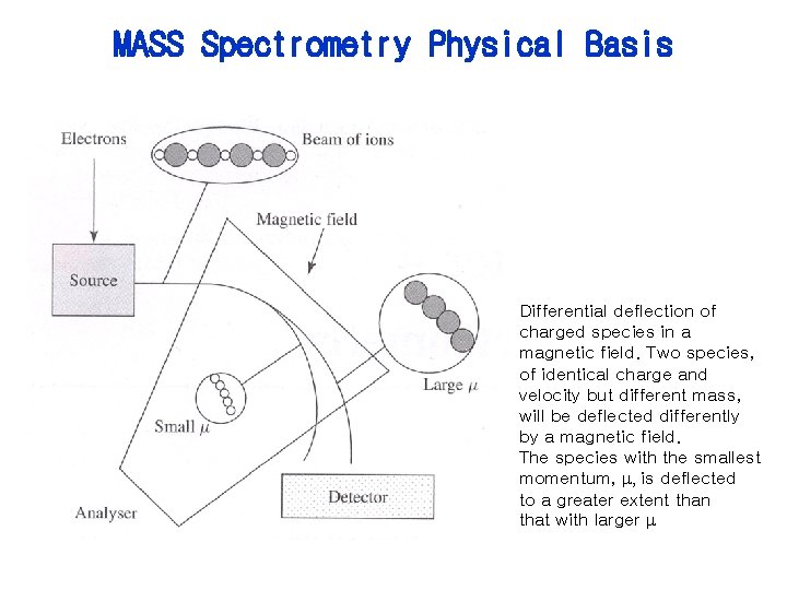 MASS Spectrometry Physical Basis Differential deflection of charged species in a magnetic field. Two