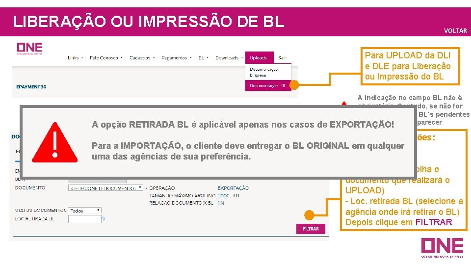 LIBERAÇÃO OU IMPRESSÃO DE BL VOLTAR Para UPLOAD da DLI e DLE para Liberação