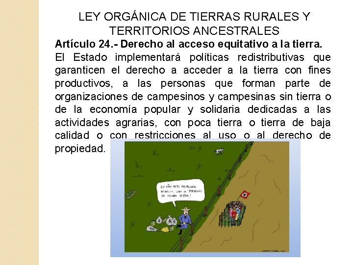 LEY ORGÁNICA DE TIERRAS RURALES Y TERRITORIOS ANCESTRALES Artículo 24. - Derecho al acceso