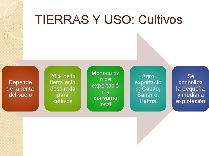 TIERRAS Y USO: Cultivos Depende de la renta del suelo 20% de la tierra
