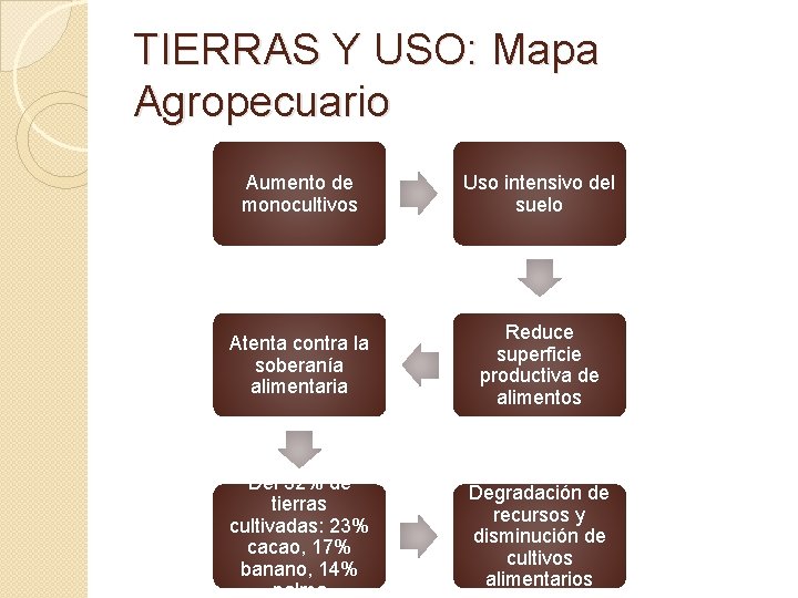 TIERRAS Y USO: Mapa Agropecuario Aumento de monocultivos Uso intensivo del suelo Atenta contra