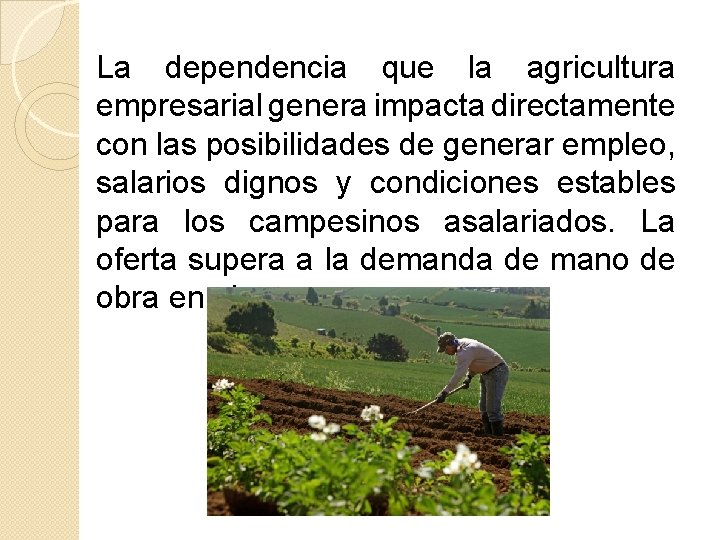 La dependencia que la agricultura empresarial genera impacta directamente con las posibilidades de generar