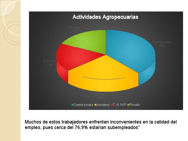 Actividades Agropecuarias Privado 18% Cuenta propia 38% T. H. N. R 19% Jornalero 25%