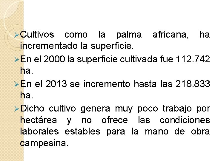 Ø Cultivos como la palma africana, ha incrementado la superficie. Ø En el 2000