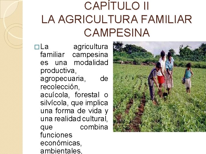 CAPÍTULO II LA AGRICULTURA FAMILIAR CAMPESINA � La agricultura familiar campesina es una modalidad
