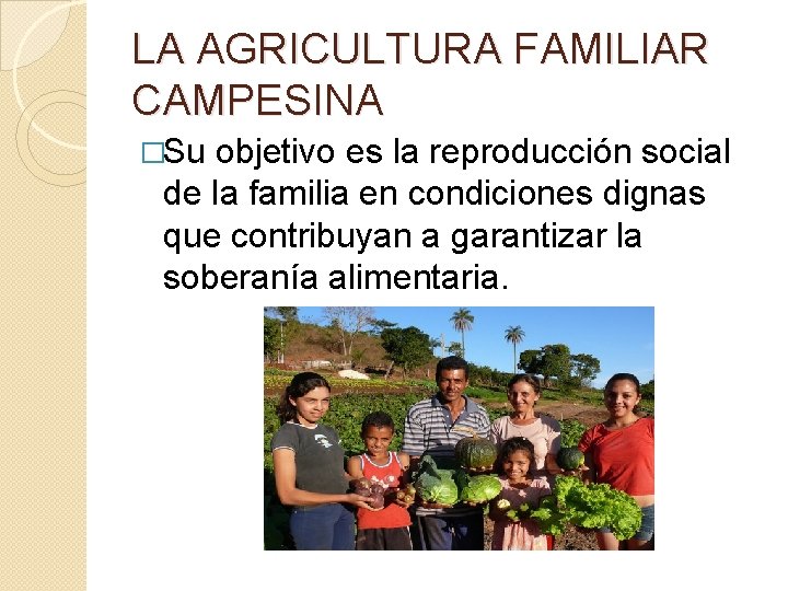 LA AGRICULTURA FAMILIAR CAMPESINA �Su objetivo es la reproducción social de la familia en