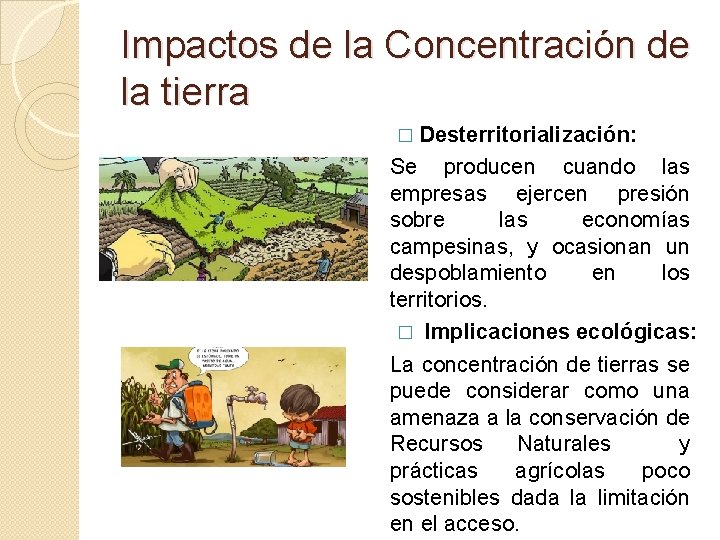 Impactos de la Concentración de la tierra � Desterritorialización: Se producen cuando las empresas