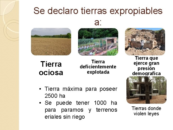 Se declaro tierras expropiables a: Tierra ociosa Tierra deficientemente explotada • Tierra máxima para