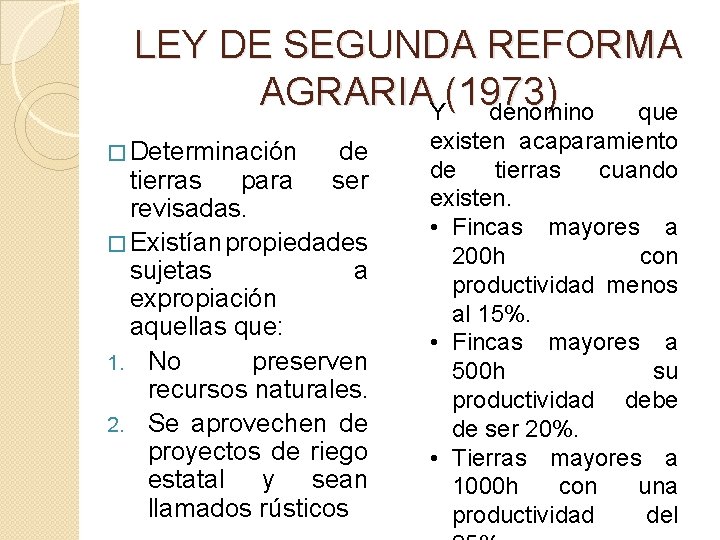 LEY DE SEGUNDA REFORMA AGRARIAY(1973) denomino que � Determinación de ser tierras para revisadas.