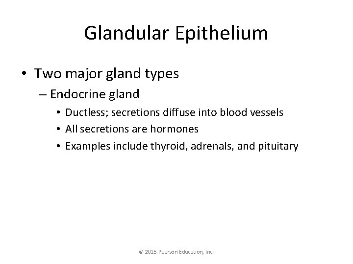 Glandular Epithelium • Two major gland types – Endocrine gland • Ductless; secretions diffuse