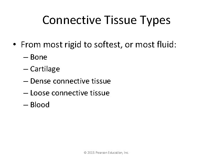 Connective Tissue Types • From most rigid to softest, or most fluid: – Bone