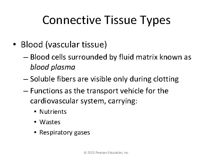 Connective Tissue Types • Blood (vascular tissue) – Blood cells surrounded by fluid matrix
