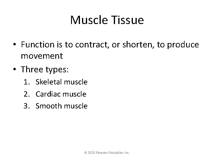 Muscle Tissue • Function is to contract, or shorten, to produce movement • Three