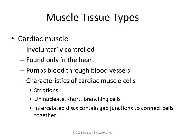 Muscle Tissue Types • Cardiac muscle – Involuntarily controlled – Found only in the
