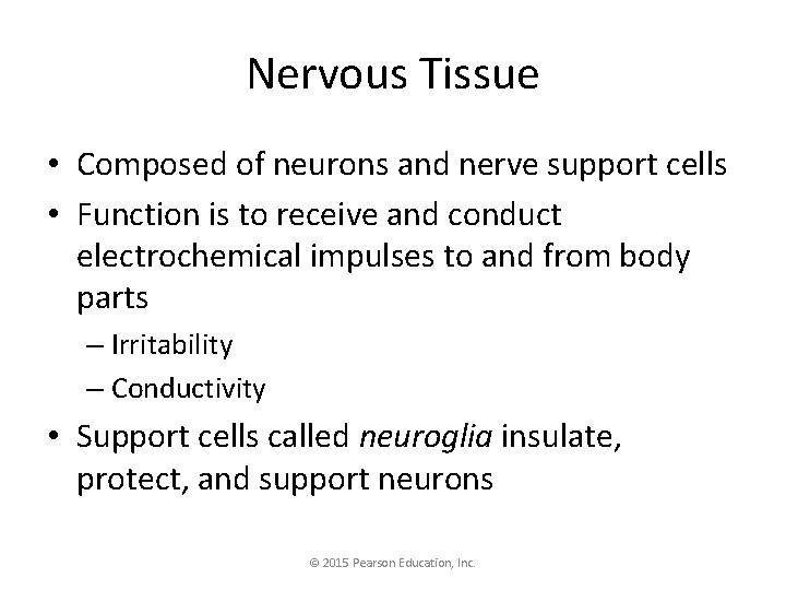 Nervous Tissue • Composed of neurons and nerve support cells • Function is to