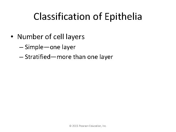 Classification of Epithelia • Number of cell layers – Simple—one layer – Stratified—more than