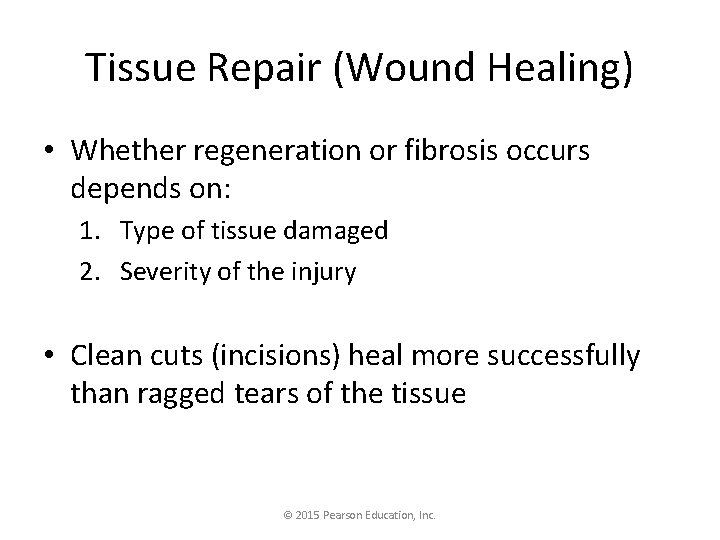 Tissue Repair (Wound Healing) • Whether regeneration or fibrosis occurs depends on: 1. Type