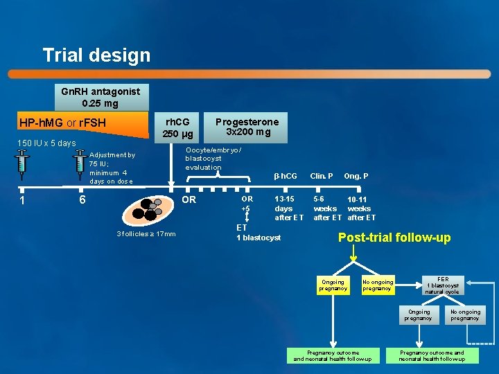 Trial design Gn. RH antagonist 0. 25 mg HP-h. MG or r. FSH rh.