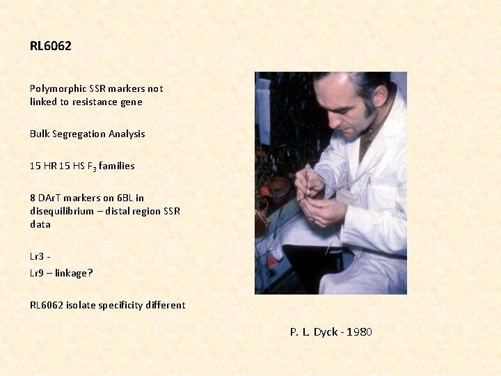 RL 6062 Polymorphic SSR markers not linked to resistance gene Bulk Segregation Analysis 15