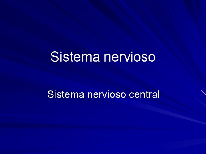 Sistema nervioso central 