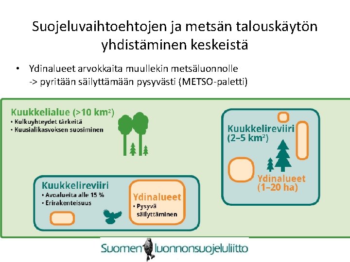 Suojeluvaihtoehtojen ja metsän talouskäytön yhdistäminen keskeistä • Ydinalueet arvokkaita muullekin metsäluonnolle -> pyritään säilyttämään