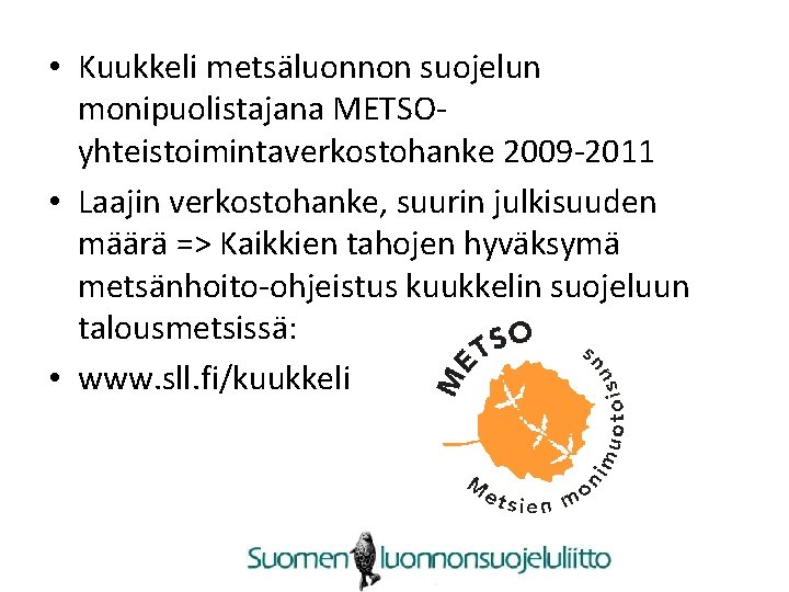  • Kuukkeli metsäluonnon suojelun monipuolistajana METSOyhteistoimintaverkostohanke 2009 -2011 • Laajin verkostohanke, suurin julkisuuden