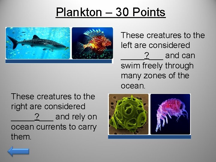 Plankton – 30 Points These creatures to the left are considered _____? ___ and