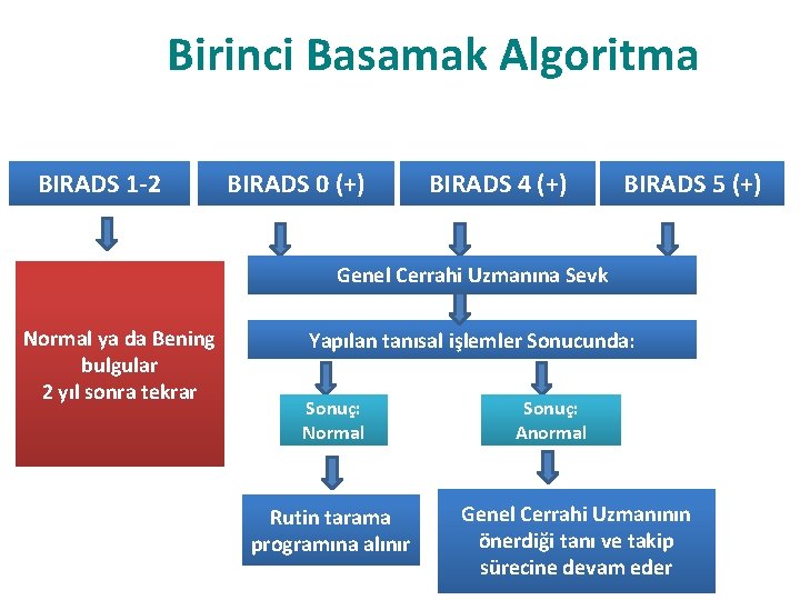 Birinci Basamak Algoritma BIRADS 1 -2 BIRADS 0 (+) BIRADS 4 (+) BIRADS 5