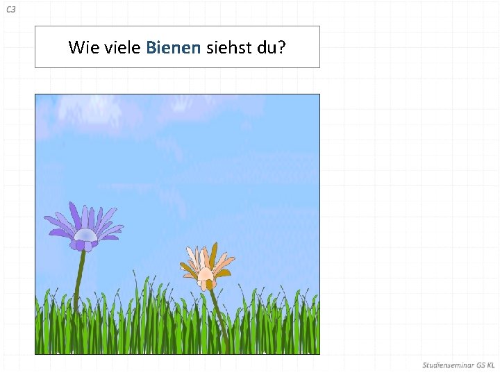 Wie viele Bienen siehst du? 