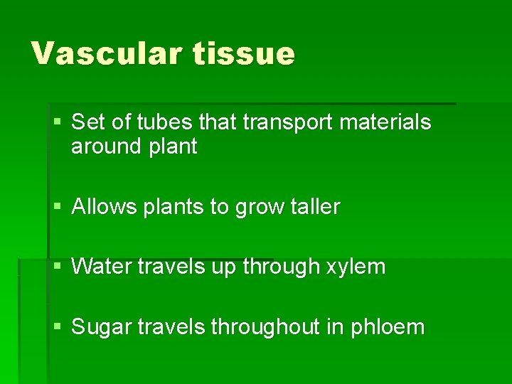 Vascular tissue § Set of tubes that transport materials around plant § Allows plants