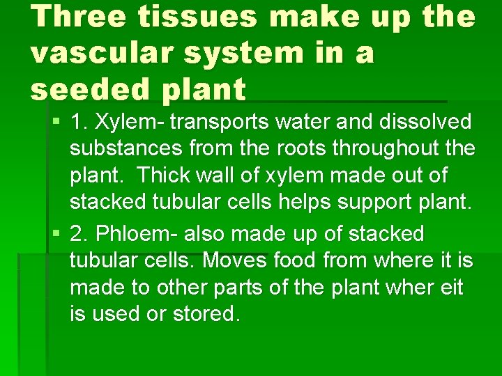 Three tissues make up the vascular system in a seeded plant § 1. Xylem-