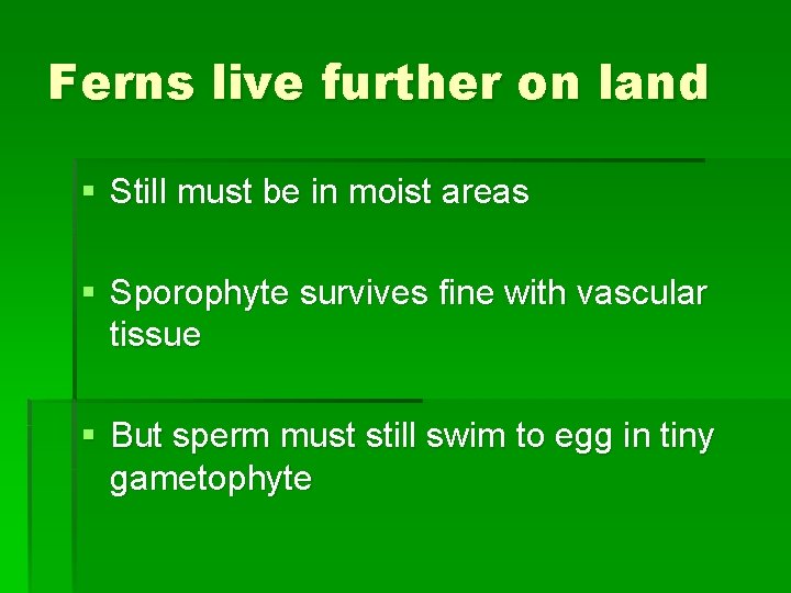 Ferns live further on land § Still must be in moist areas § Sporophyte