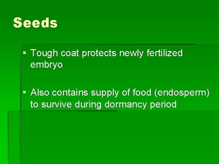 Seeds § Tough coat protects newly fertilized embryo § Also contains supply of food