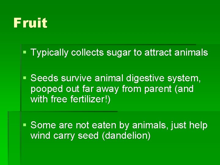 Fruit § Typically collects sugar to attract animals § Seeds survive animal digestive system,