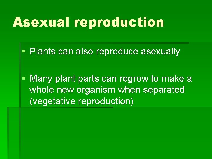 Asexual reproduction § Plants can also reproduce asexually § Many plant parts can regrow
