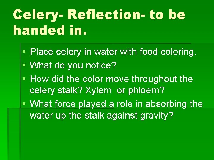 Celery- Reflection- to be handed in. § § § Place celery in water with