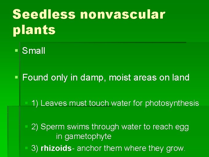 Seedless nonvascular plants § Small § Found only in damp, moist areas on land