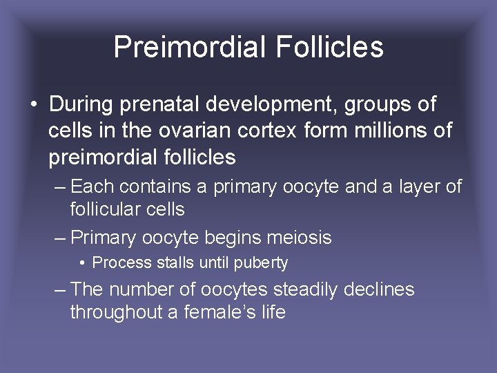 Preimordial Follicles • During prenatal development, groups of cells in the ovarian cortex form