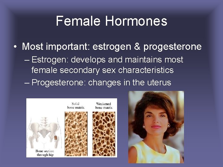 Female Hormones • Most important: estrogen & progesterone – Estrogen: develops and maintains most