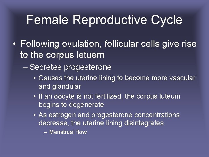 Female Reproductive Cycle • Following ovulation, follicular cells give rise to the corpus letuem