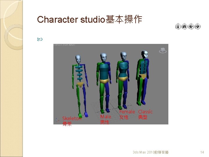 Character studio基本操作 Skeleton 骨架 Male 男性 Female Classic 女性 典型 3 ds Max 2010動靜皆藝
