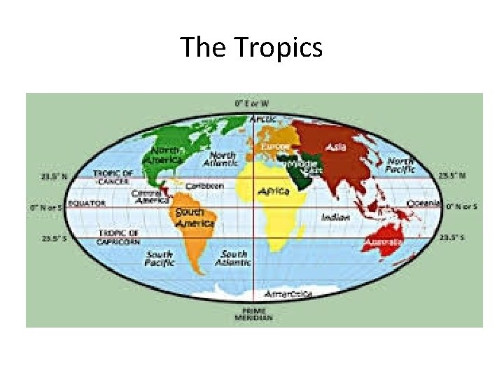 The Tropics 