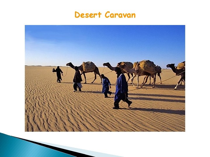 Desert Caravan 