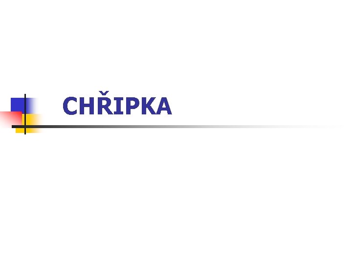 CHŘIPKA 