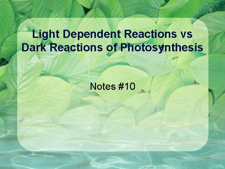 Light Dependent Reactions vs Dark Reactions of Photosynthesis Notes #10 