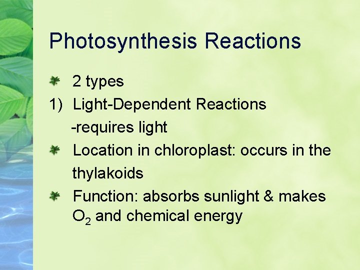Photosynthesis Reactions 2 types 1) Light-Dependent Reactions -requires light Location in chloroplast: occurs in