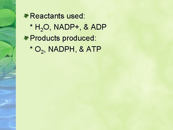 Reactants used: * H 2 O, NADP+, & ADP Products produced: * O 2,