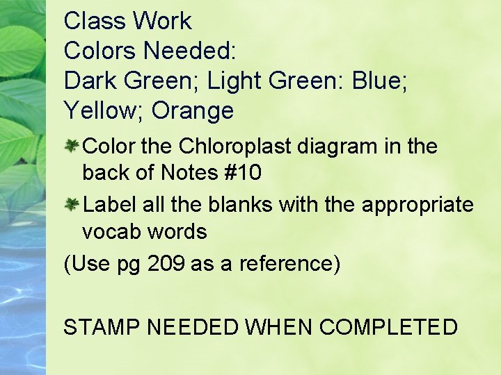 Class Work Colors Needed: Dark Green; Light Green: Blue; Yellow; Orange Color the Chloroplast