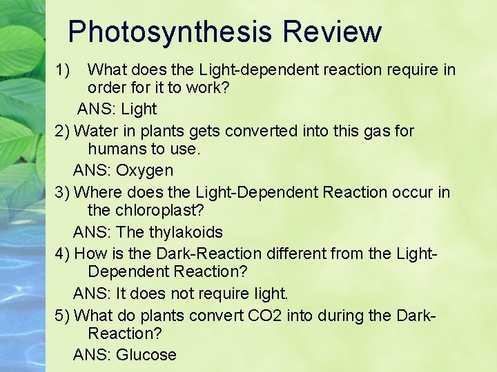 Photosynthesis Review 1) What does the Light-dependent reaction require in order for it to