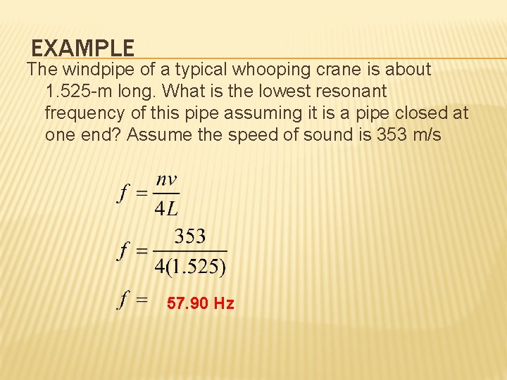 EXAMPLE The windpipe of a typical whooping crane is about 1. 525 -m long. EXAMPLE The windpipe of a typical whooping crane is about 1. 525 -m long.